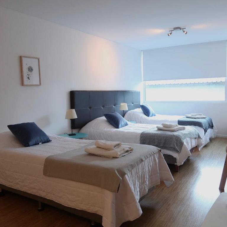 Ona Shelter - Apartamento - 29