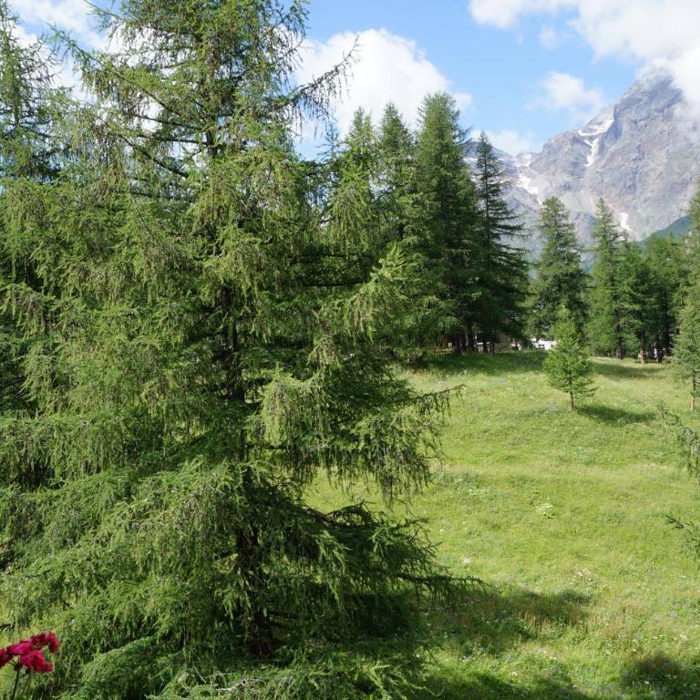 Window on the mountains - Appartamento con 2 Camere da Letto - 14