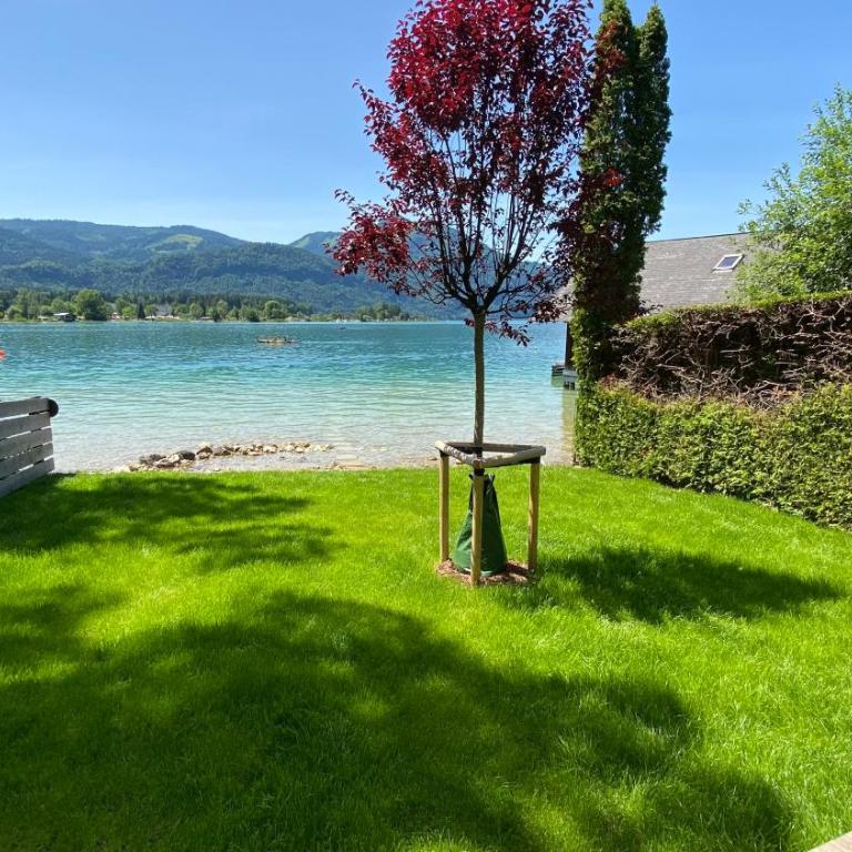 Villa Eisl-Raudaschl - Apartment with Mountain View - 1