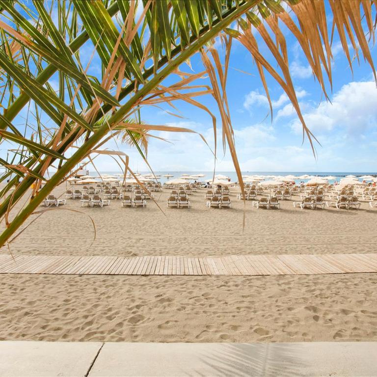 Nice studio Bart 50 meters from Playa Las Vistas - Estudio - 5
