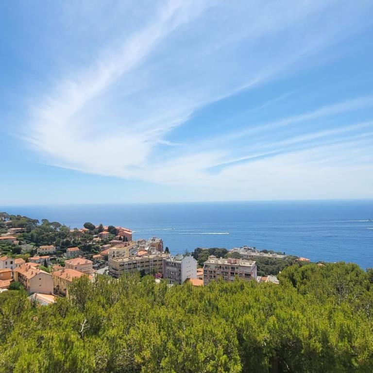 Cap Monaco - Apartamento con vistas al mar - 15