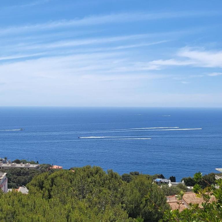Cap Monaco - Apartamento con vistas al mar - 27