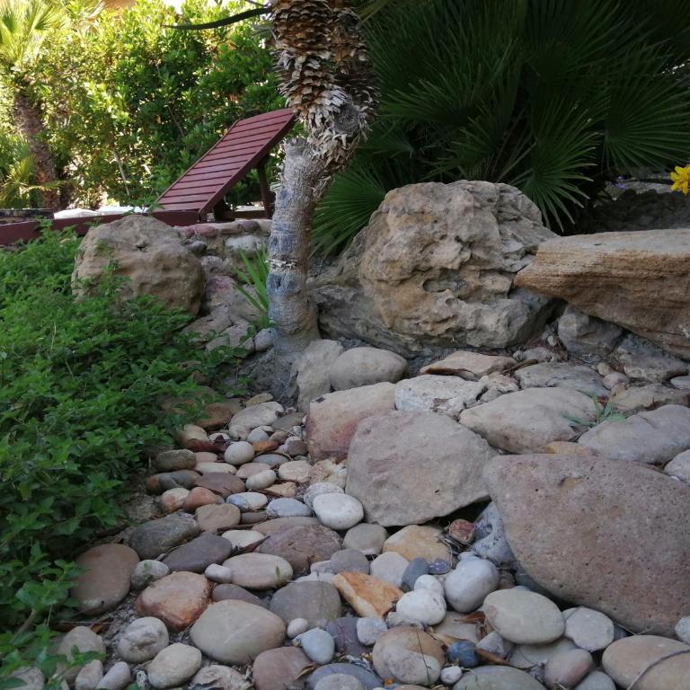 Villa Venere Apartment - Appartamento - Piano Terra - 18
