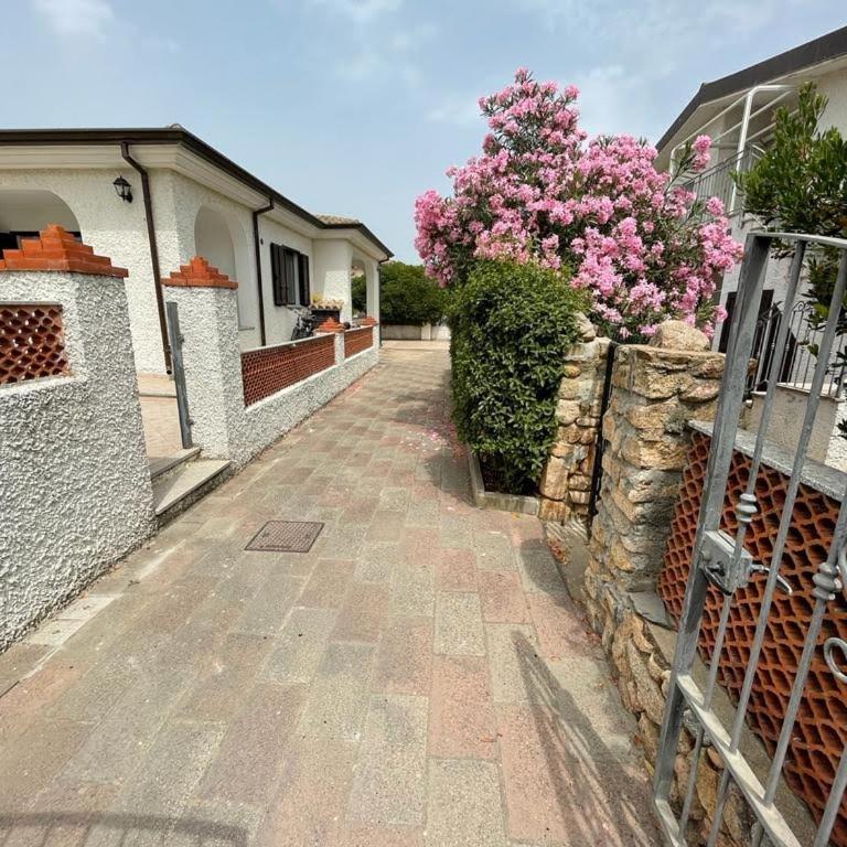 Trilo Lu Rattali - Casa con 2 Camere da Letto - 2