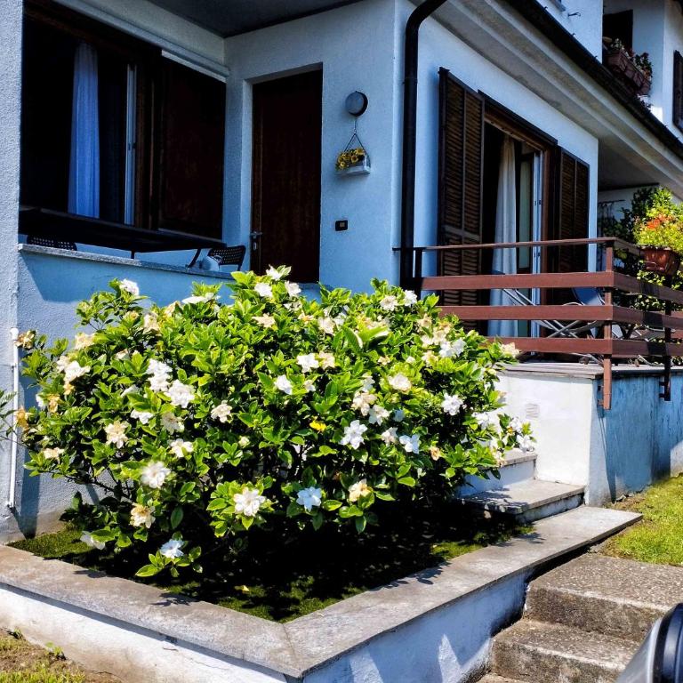 Casa Vacanze La Nautica - Appartamento con Vista Lago - 42