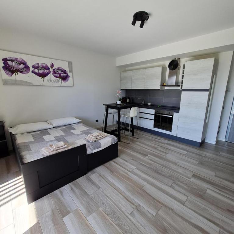 Grazioso Monolocale Milano - Appartamento con 1 Camera da Letto - 1
