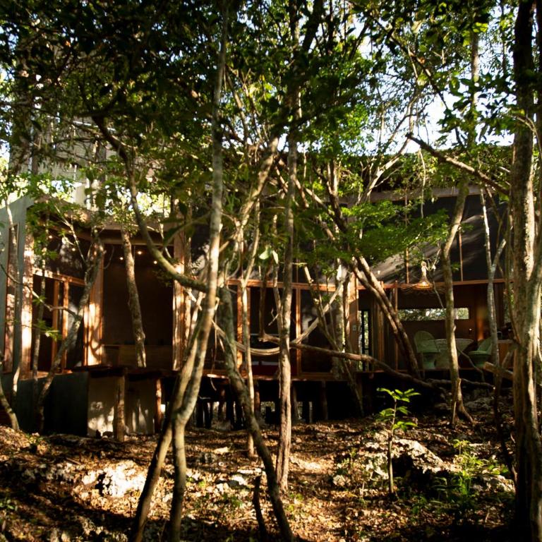 OJO DE ÁRBOL, boutique cabin in the real jungle - Villa de 1 dormitorio - 9