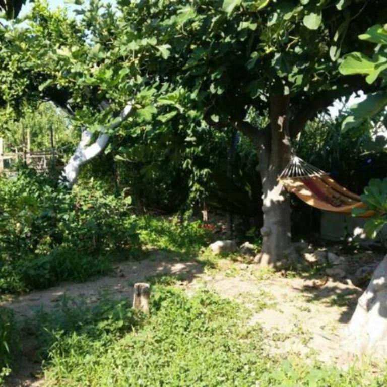 Case Vacanze Tropea La Pinnata - Three-Bedroom House with Garden - 15