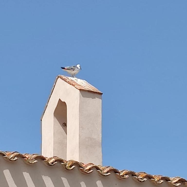 Pula White Experience South Sardinia - Appartamento con 1 Camera da Letto - 48