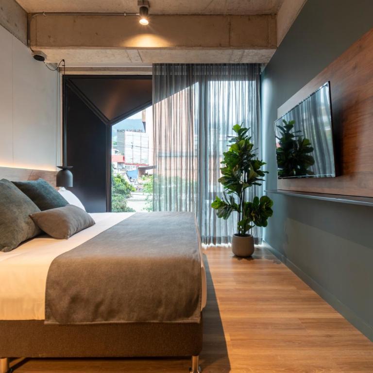 HASHTAG 98 HOTEL - Habitación con cama extragrande. - 13