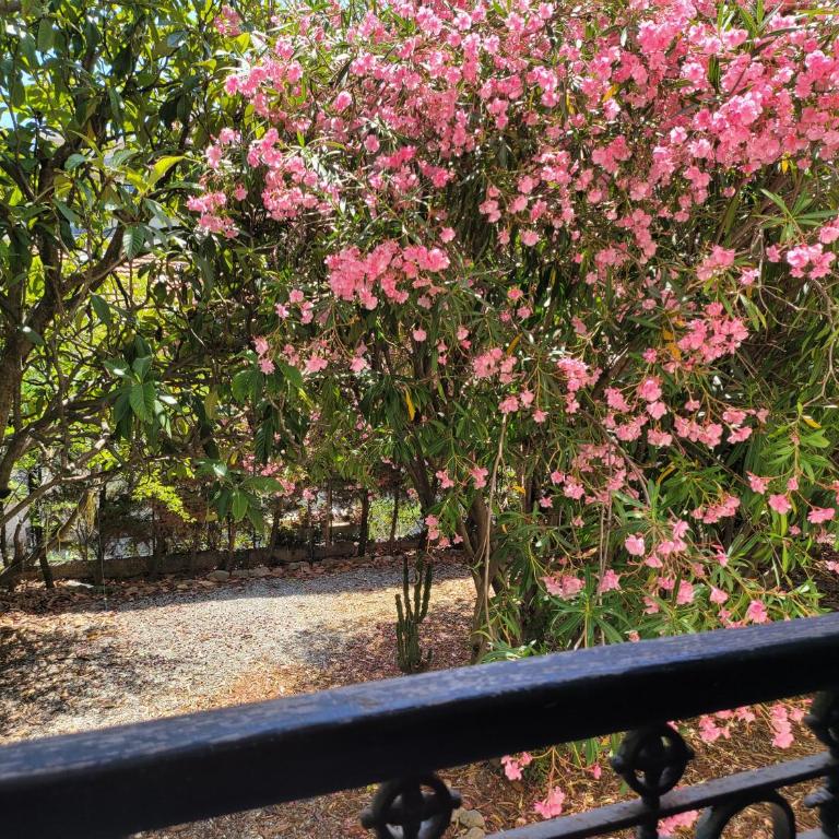 T3 VILLA WALLER PROCHE PLAGES et CENTRE-VILLE - Appartement 2 Chambres - 18