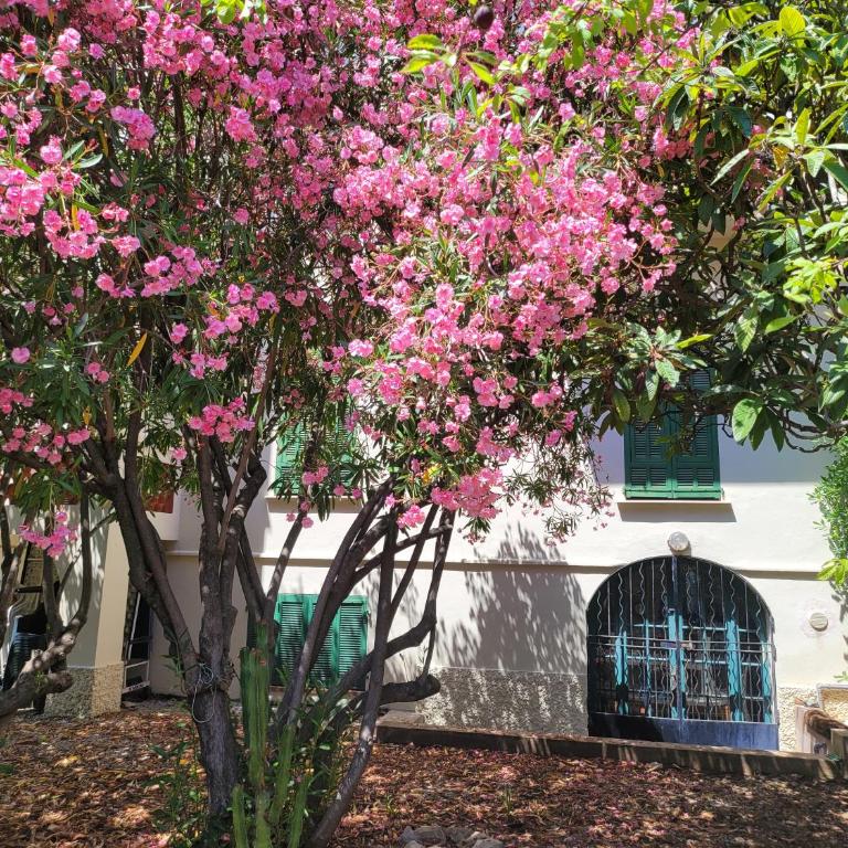 T3 VILLA WALLER PROCHE PLAGES et CENTRE-VILLE - Appartement 2 Chambres - 16