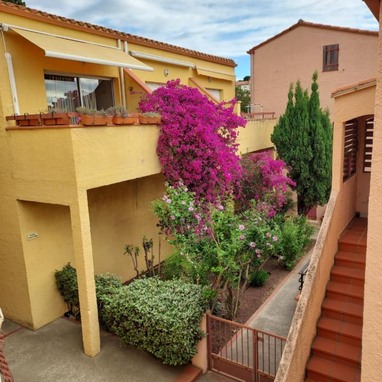 ROCADE DE COLLIOURE appt T4 avec grande terrasse et garage - Apartamento de 3 dormitorios - 21