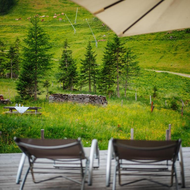 Marktlhütte - Chalet - 27