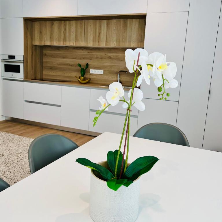 BEST LOFT NEAR REAL MADRID STADIUM - Two-Bedroom Apartment - 8