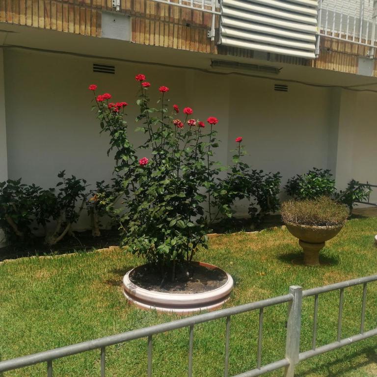 Edificio Salou Beach, la Pineda, Vilaseca - Apartment with Pool View - 56