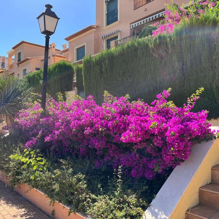 apartment nearby beach and old town Javea - Apartamento de 1 dormitorio - 36