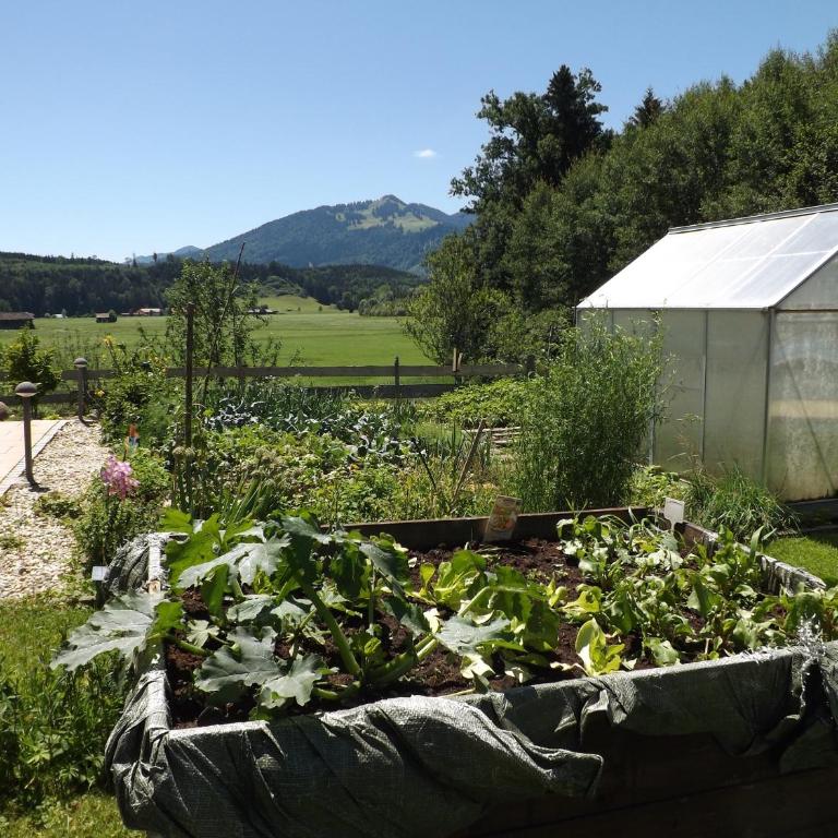 Landhaus Brockhaus - Appartamento con 2 Camere da Letto - 38