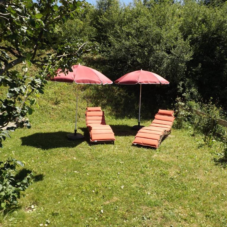 Landhaus Brockhaus - Appartamento con 2 Camere da Letto - 49