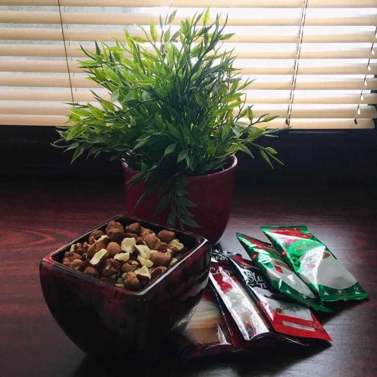 Theatre55 - Apartman sa 1 Spavaćom Sobom - 19