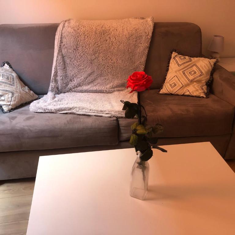 "Au Cœur du Vieux Nice Place Rossetti et de sa fabuleuse Promenade des Anglais" - Appartement 1 Chambre - 10