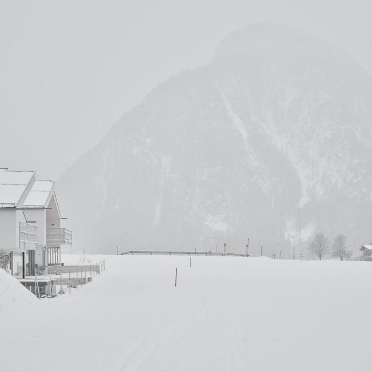 Design Lake View Chalet, Urban Mountain Achensee - Ferienhaus - 84