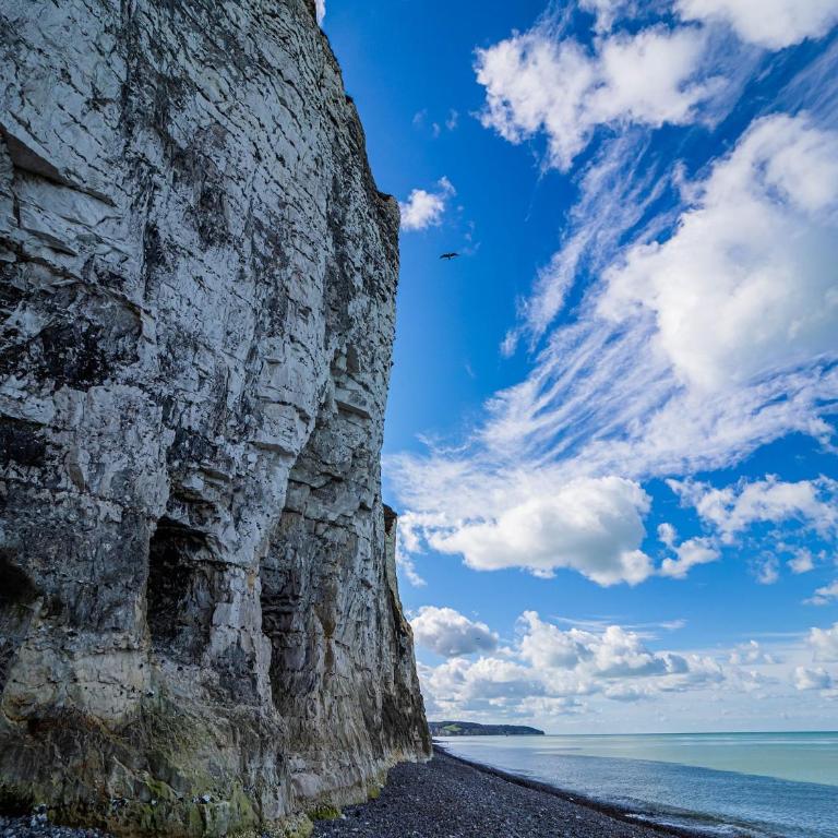 Le Confort Normand - Sur les quais & proxy plage - Chaleureux - Full équipé & netflix - Parking gratuit - Appartement 1 Chambre - 36