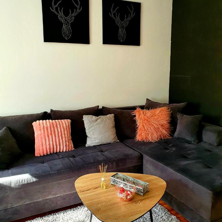 DRAGON Apartment - Apartman sa 1 Spavaćom Sobom - 3