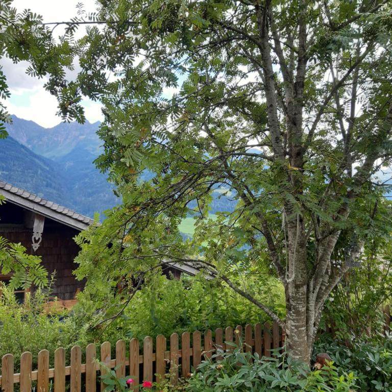 Hüttenzauber - Appartement avec Vue sur la Montagne - 3