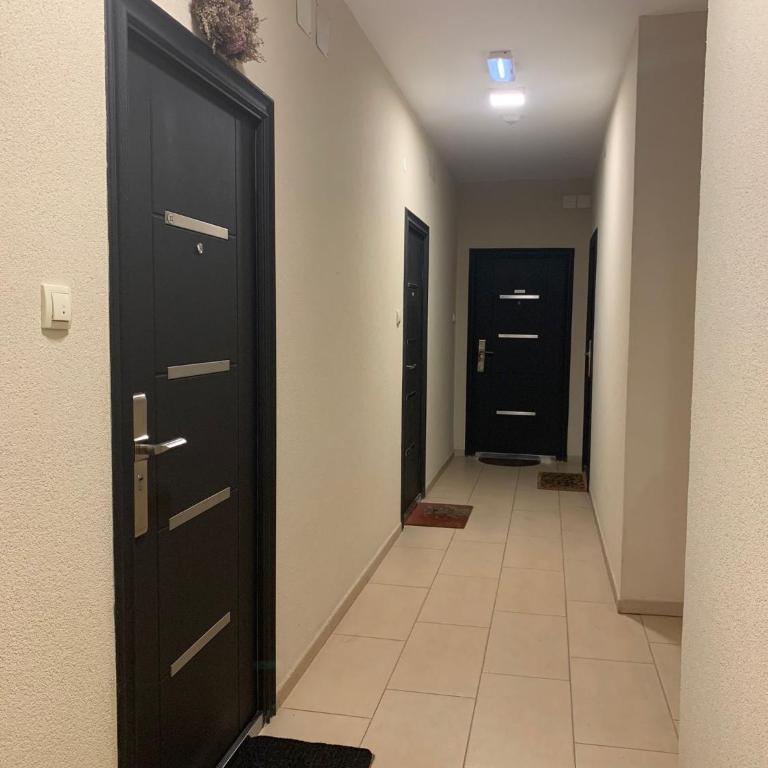 Apartment Paja - Apartman sa 1 Spavaćom Sobom - 21