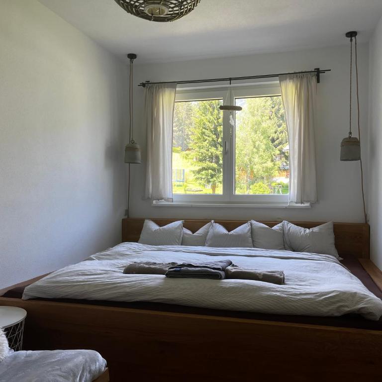 JARA APARTMENT- Ramsau am Dachstein - One-Bedroom Apartment - 24