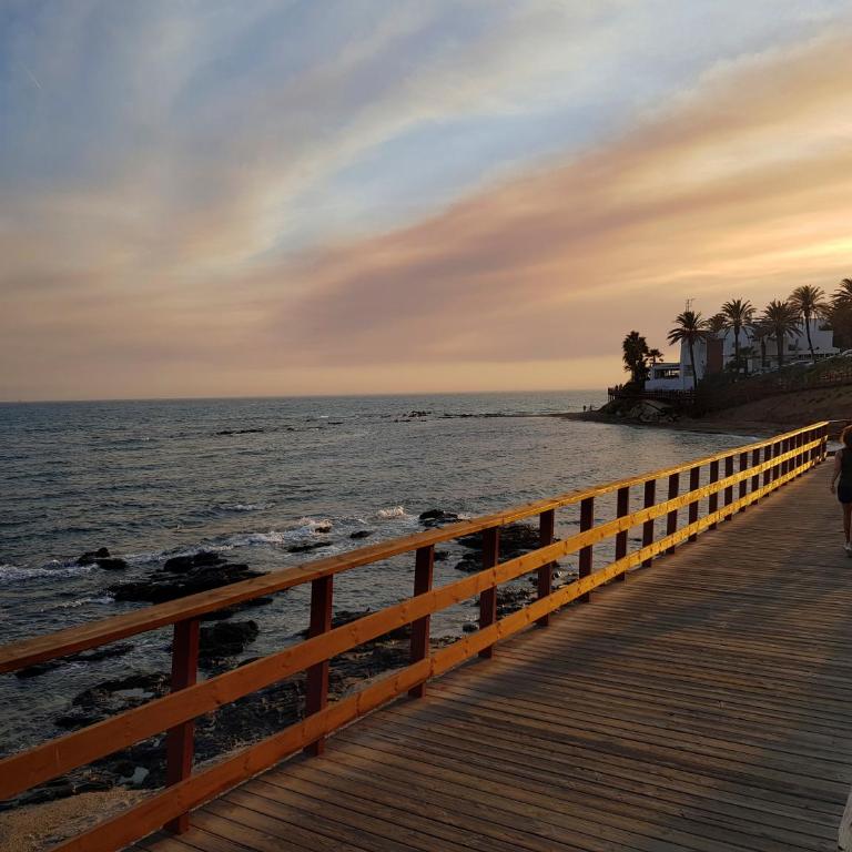 Butiplaya apartament - Apartamento de 2 dormitorios - 36
