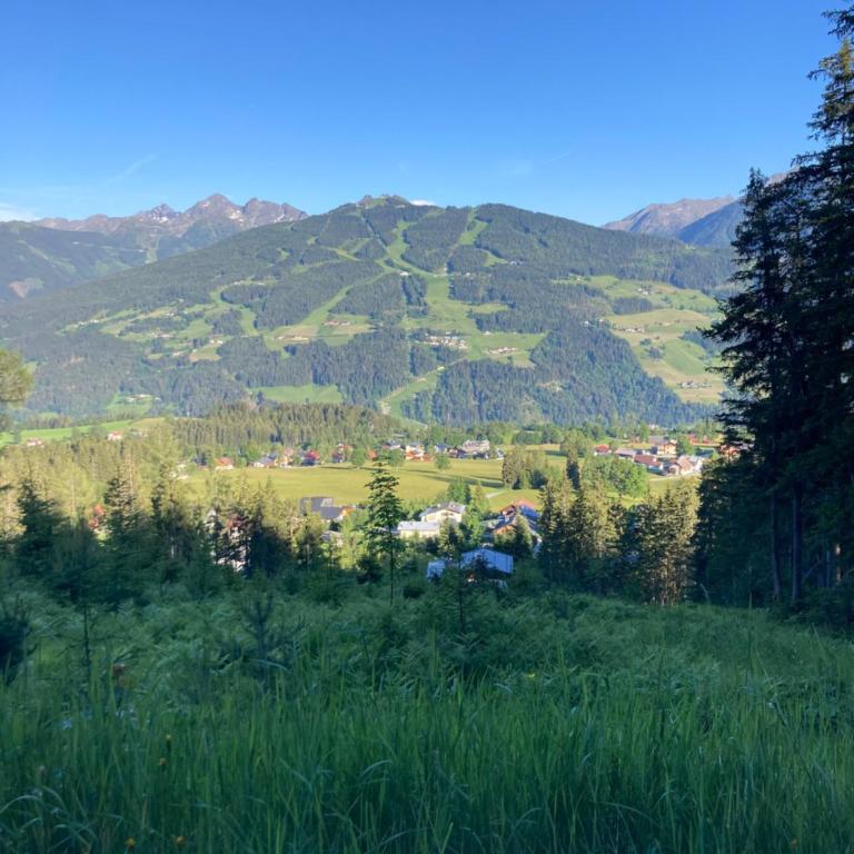 JARA APARTMENT- Ramsau am Dachstein - One-Bedroom Apartment - 43
