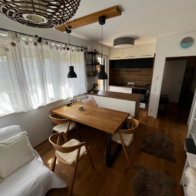 JARA APARTMENT- Ramsau am Dachstein - One-Bedroom Apartment - 41