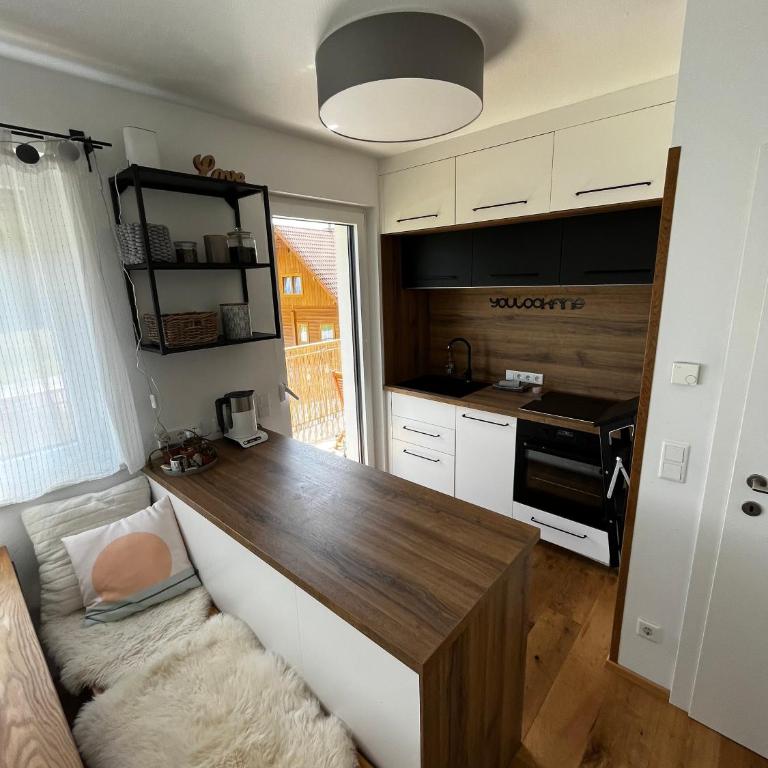 JARA APARTMENT- Ramsau am Dachstein - One-Bedroom Apartment - 38