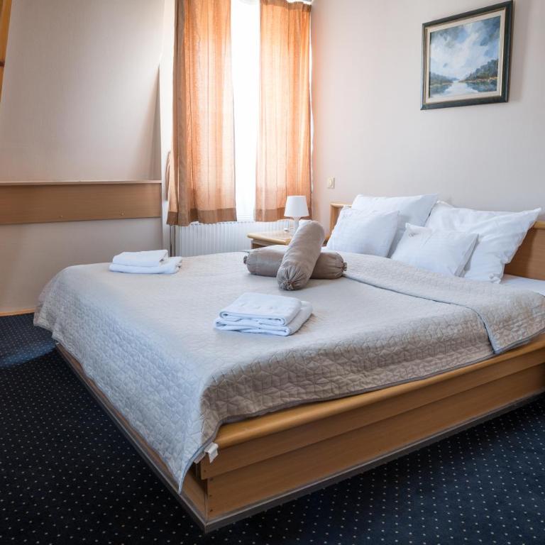 Garni Hotel Panorama Lux - Standardna Dvokrevetna Soba sa Bračnim Krevetom - 4