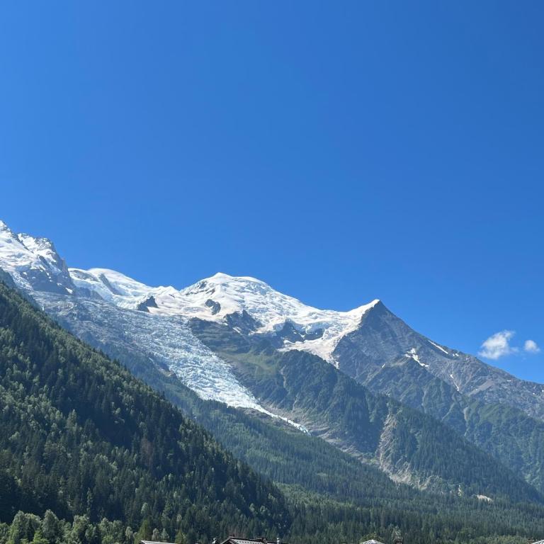 Mont Blanc 43, vue Mont Blanc , balcon, parking - Appartement 1 Chambre - 25