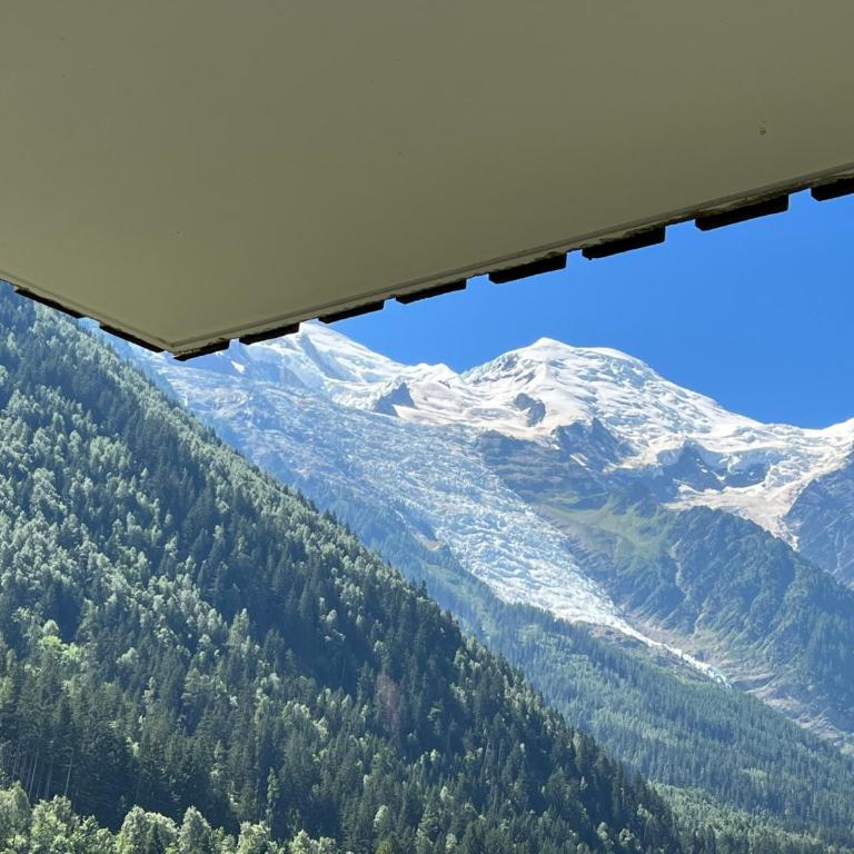 Mont Blanc 43, vue Mont Blanc , balcon, parking - Appartement 1 Chambre - 22
