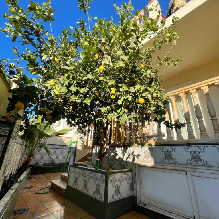 Apartamento familiar 2 habitaciones - Terrazas-WiFi - Apartment mit 2 Schlafzimmern - 34