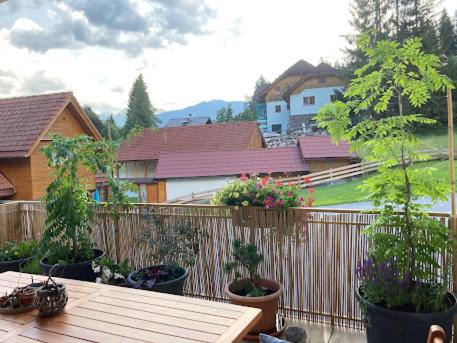 JARA APARTMENT- Ramsau am Dachstein - One-Bedroom Apartment - 56