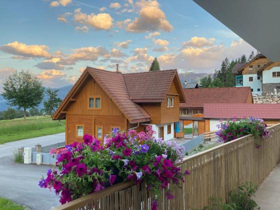 JARA APARTMENT- Ramsau am Dachstein - One-Bedroom Apartment - 55
