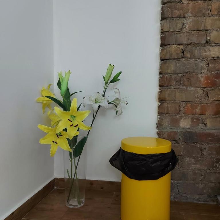 Art Apartments - Studio - 12