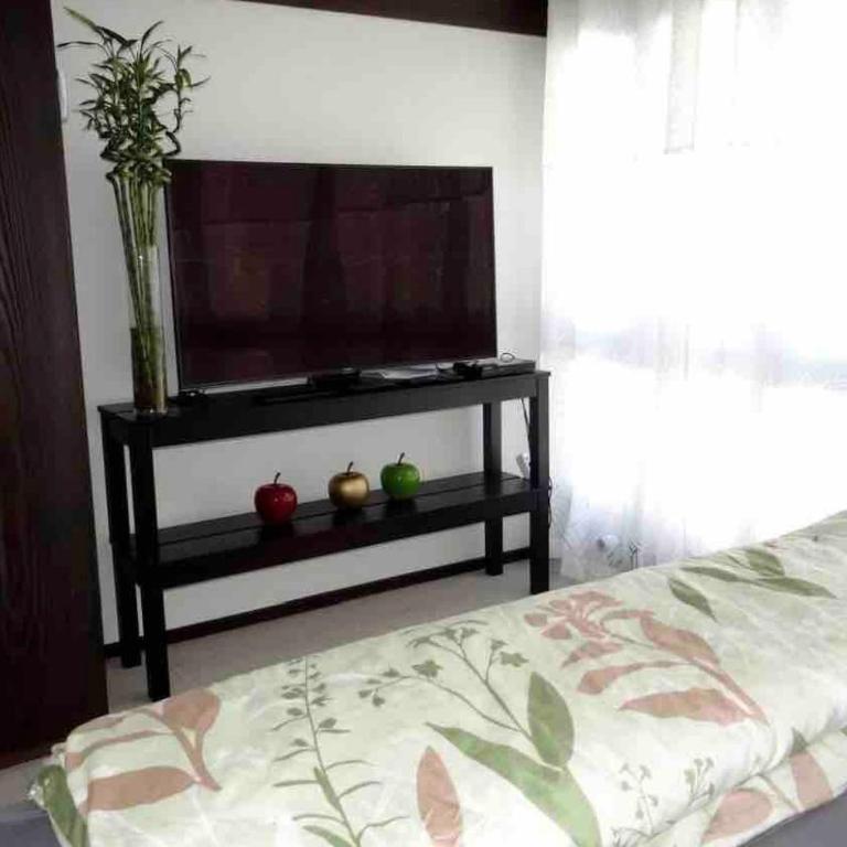 Ferienwohnung Engelberg - Apartamento de 1 dormitorio - 35