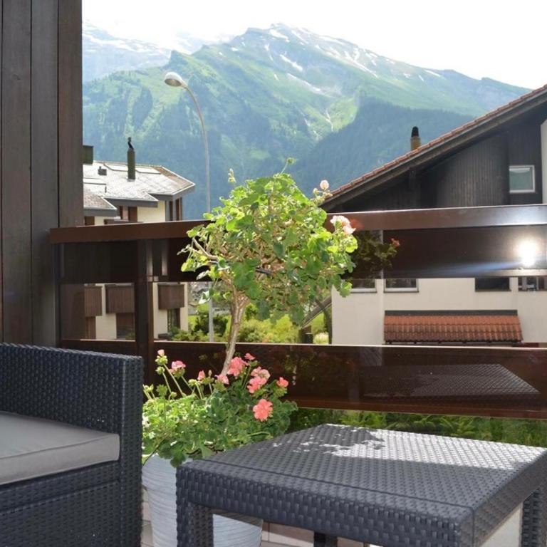 Ferienwohnung Engelberg - Apartamento de 1 dormitorio - 28