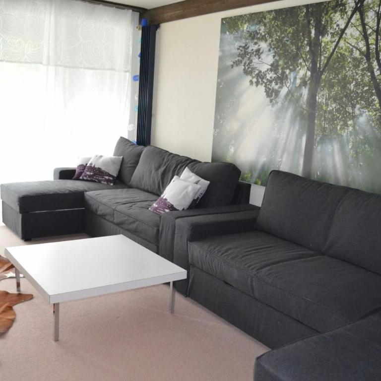 Ferienwohnung Engelberg - Apartamento de 1 dormitorio - 25