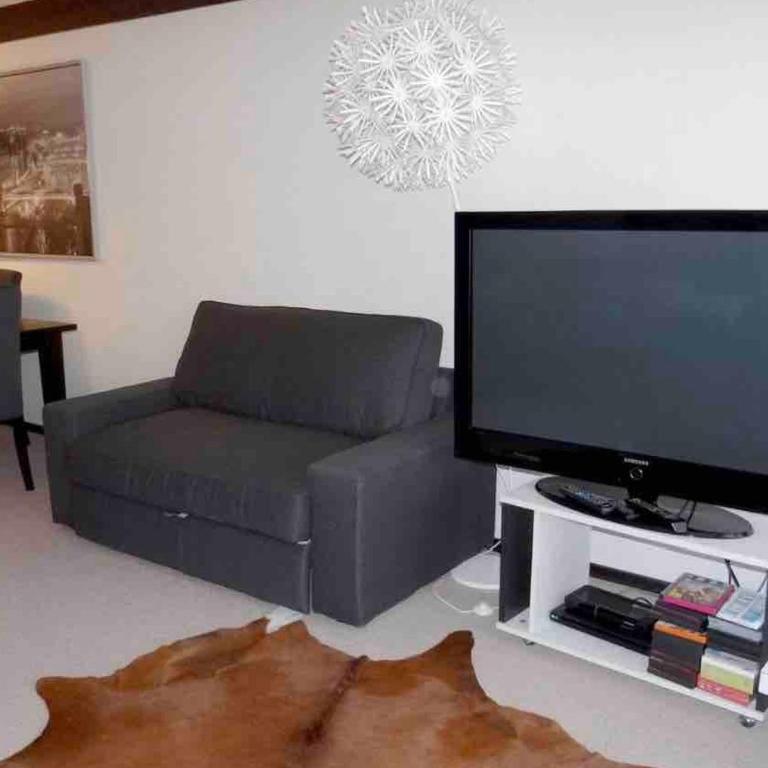 Ferienwohnung Engelberg - Apartamento de 1 dormitorio - 41