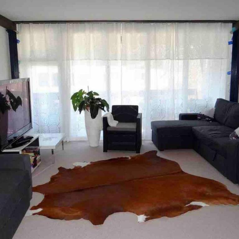 Ferienwohnung Engelberg - Apartamento de 1 dormitorio - 46