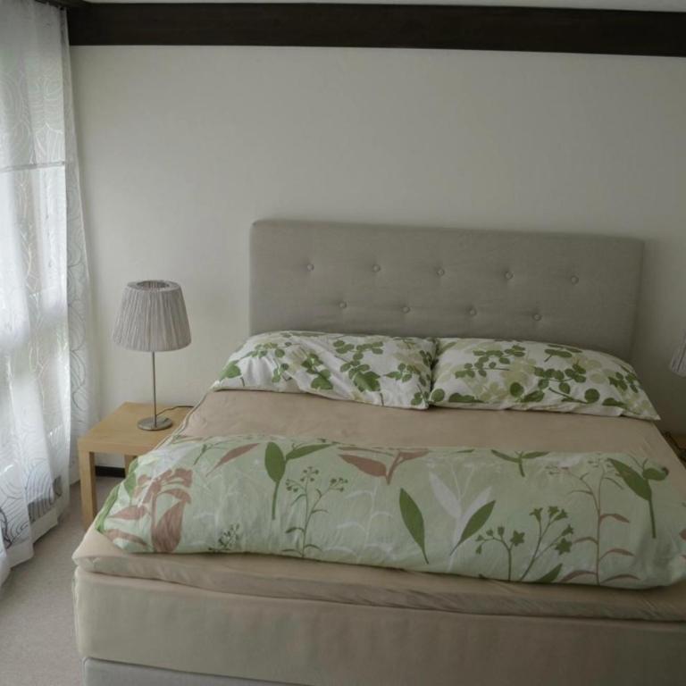 Ferienwohnung Engelberg - Apartamento de 1 dormitorio - 31