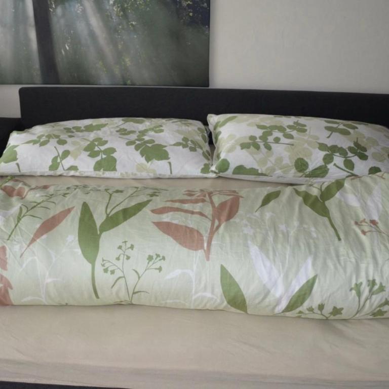 Ferienwohnung Engelberg - Apartamento de 1 dormitorio - 30