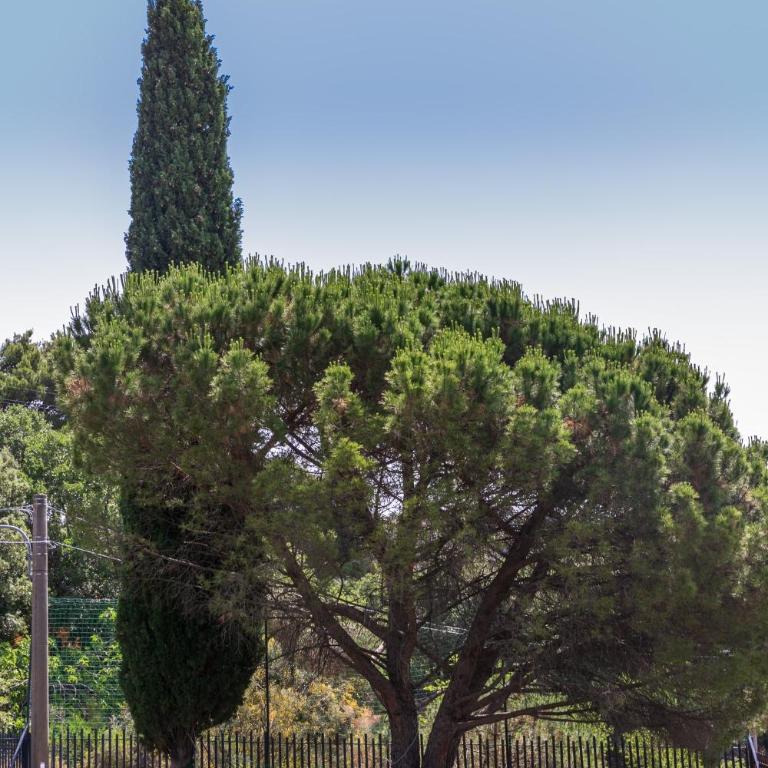 La dimora del verde con piscina - Villa with Private Pool - 58